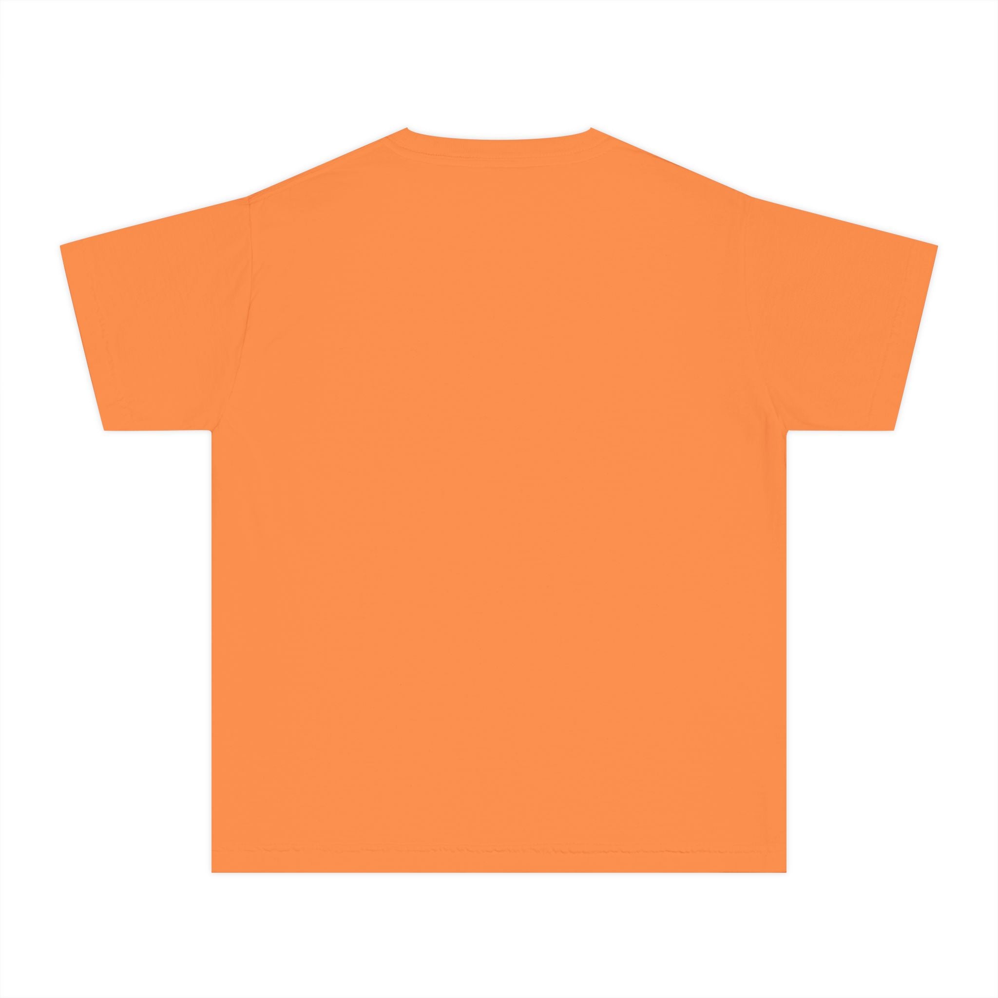 High Five I'm Five 5th Birthday Youth Comfort Colors Tee