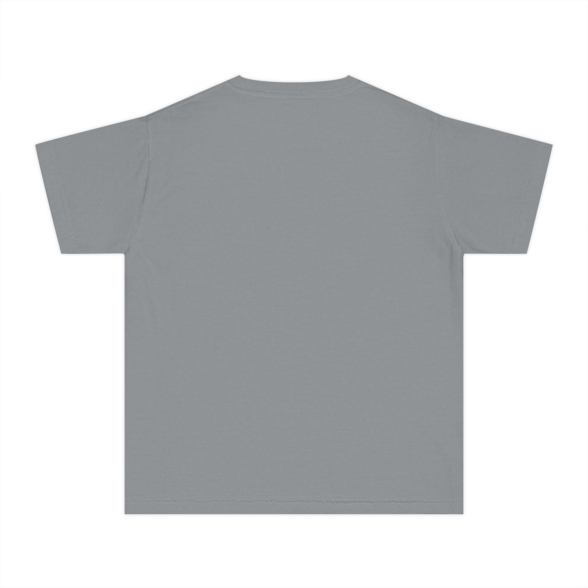 2nd Birthday Shirt TWO Too Cool Youth Comfort Colors Tee