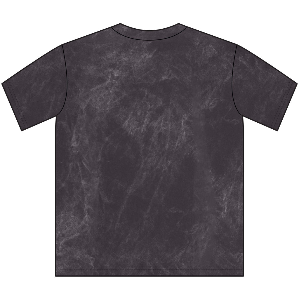 Site Test — Lane Seven LST002 Vintage Crewneck Tee (blank)