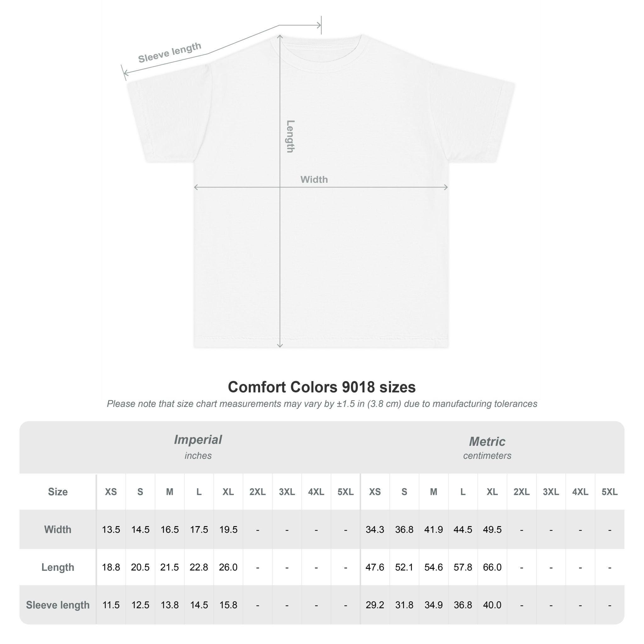 2nd Birthday Shirt TWO Too Cool Youth Comfort Colors Tee